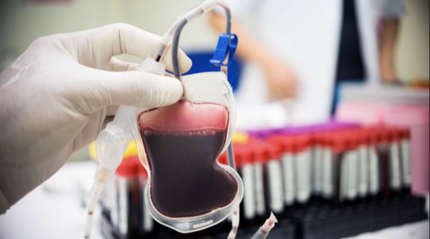 სისხლის ექსპორტი 132.5%-ით გაიზარდა - სად ვყიდით? სისხლის ექსპორტი 132.5%-ით გაიზარდა - სად ვყიდით?